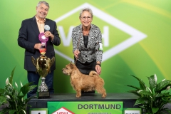 Kreatin Extra Time - BOB, BIG Dortmund
